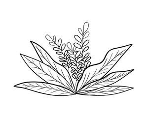 Isolated leaves icon vector design