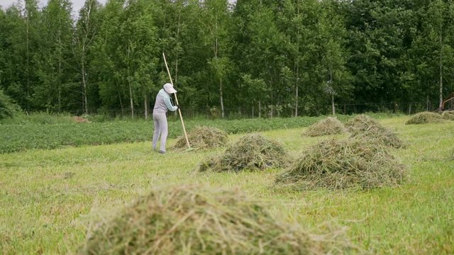 A woman in a tracksuit rakes the grass with a rake.