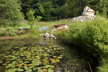 Fototapete bei efototapeten.de bestellen   