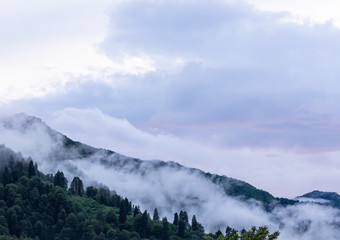 Obraz premium Ayder Plateau, Rize, Turkey. A popular destination for summer tourism.