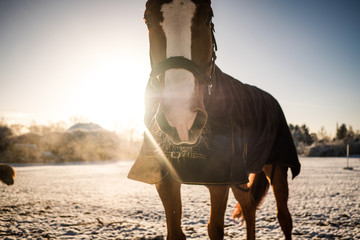 Wintertime