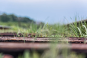 Rail. Nature in Tekeli. Spring. Kazakhstan.