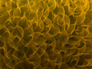 abstract background gold color detail and surface