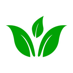 Leaf icon vector in trendy design