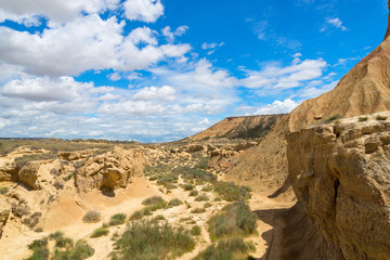 Fototapeta na wymiar Parched riverbed in the canyon of the Spanish semi-desert Bardenas Reales