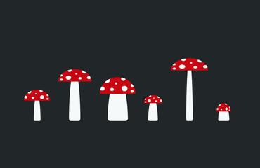 Mushrooms in row. Cartoon style poisonous fly agaric. Simple shape different sizes toadstools. Vector illustration image isolated on black background.