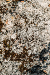 the texture of the stone