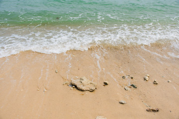 The beach and the sea.
