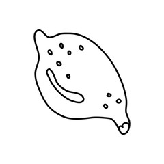 Hand drawn vector illustration in black ink on white background. A nice  lemon in doodle style. Isolated outline.