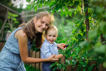 Mom and child with secateurs trim bushes in garden