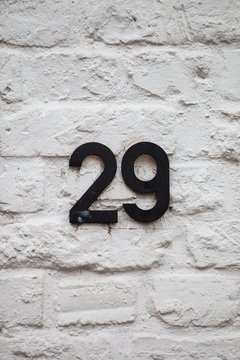 Number 29 On White Wall