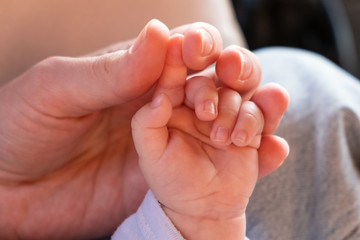 Hands of the child and the mother close-up. Parental care. Hand to hand. Grasp