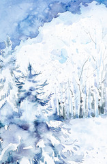 Obraz na płótnie Canvas Winter colorful snow forest landscape with Christmas trees and birches. Hand drawn watercolor illustration