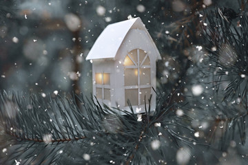 A cute paper house with Christmas light in it on the pine branch in the winter