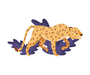 Spotted Leopard Pussyfooting Smelling Something Near Tropical Leaves Vector Illustration