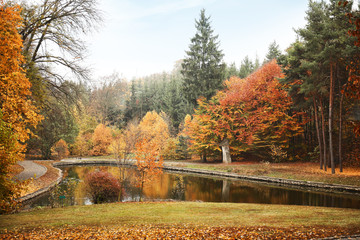View of beautiful autumn park with lake