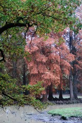 Automne à Rambouillet