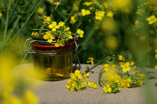 Glass jar with rapeseed oil on linen on a flowering rapeseed field