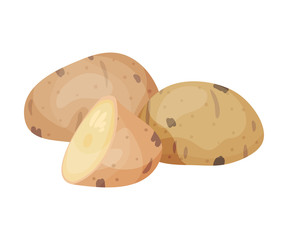 Whole and Half Raw Potato Vector Illustrated Minestrone Ingredient