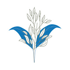 Isolated leaves drawing vector design