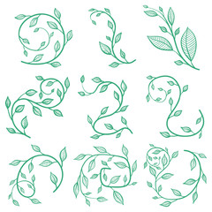 Flourishes, vector concept in doodle style. Hand drawn illustration for printing.