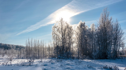 Winter landscape with a field and trees covered with snow on a sunny day