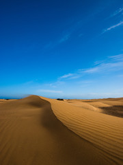 Fototapeta na wymiar The desert sand dunes 