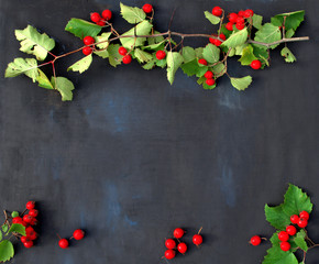 Christmas background with hawthorn branch and red berries