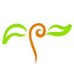 gentle shoot with curl and green leaves