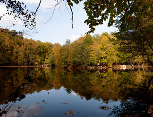Autumn landscape in Bolu Yedigoller National Park. Yellowed leaves and lake.