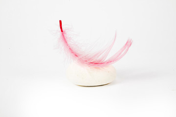 small light pink feather lying on a gray stone on a white isolated background in close-up