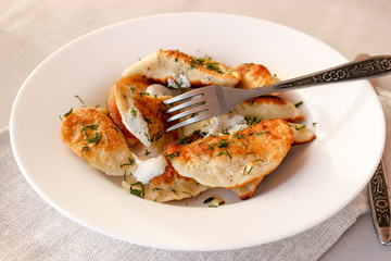 fried dumplings with sour cream