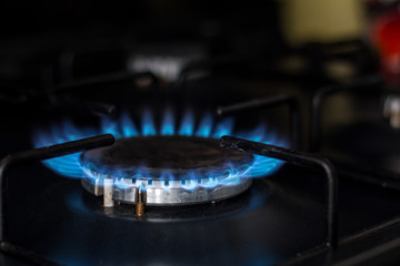 Blue fire from the kitchen stove.