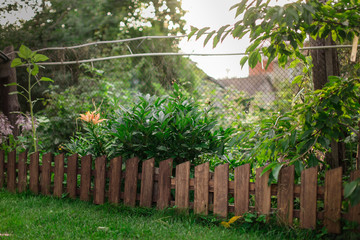 Lawn and flowerbed with wooden fence picket fence