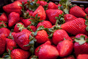 strawberry. close up