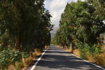 Fototapeta na wymiar Beautiful smooth road. On the sides of tall green trees and dry yellow grass. Crete, Greece
