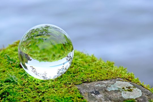 Crystal ball on green moss on Fall or Autumn with reflection of green moss inside.