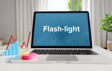 Flash-light – Statistics/Business. Laptop in the office with term on the Screen. Finance/Economy.
