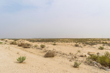beautiful clear view of desert and grass in bright and beautiful day in Saudi Arabia 