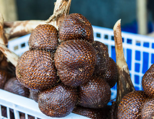 Salak otherwise known as snake skin fruit native to Indonesia