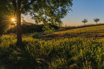 Eifellandschaft bei Sonnenuntergang