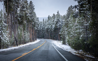 On the road of Yellowstone in Winter