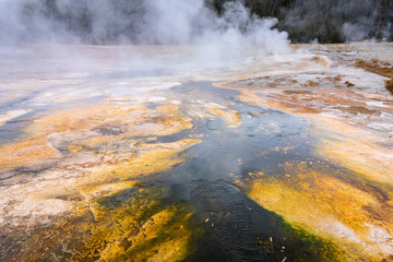 Geyser basin with boiling water from geothermal heat.