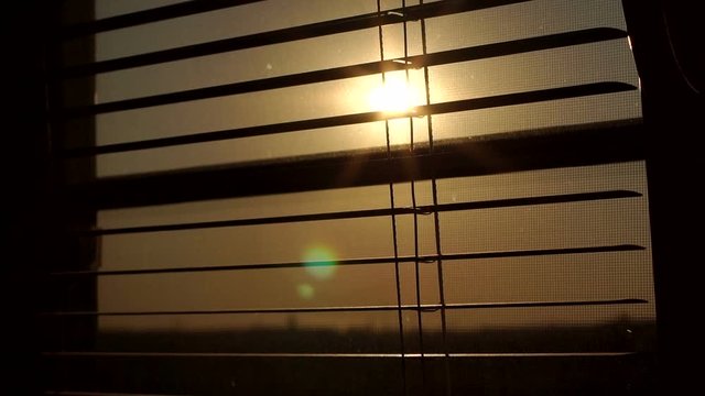 Sunrise behind the window blinds and mosquito net. Rising sun behind window blinds. Sunlight behind vertical blinds.