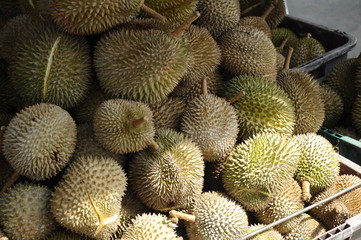 Fototapeta premium Pile of ripe durian fruit in basket and ready to sale.