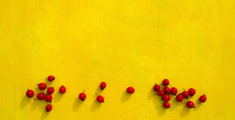 Christmas or Valentine's Day background with red sweet hawthorn berries on bright yellow background.