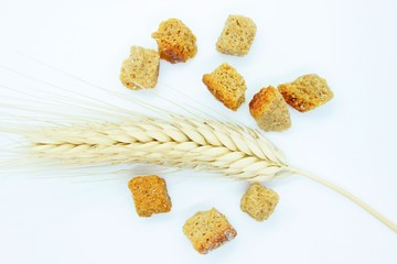 Rye crackers and rye spike located on a white background