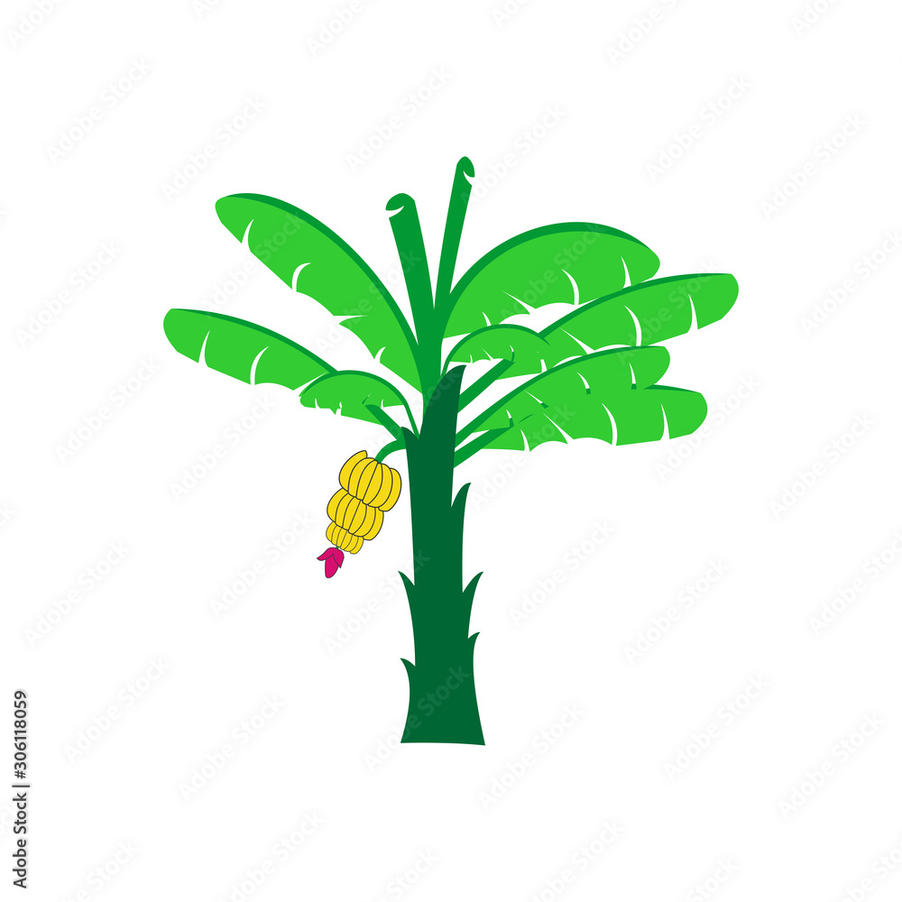 Poster tree icon vector design symbol