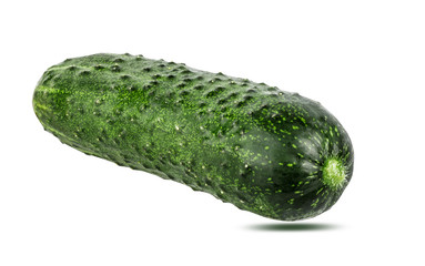 Cucumber isolated on white background with clipping path