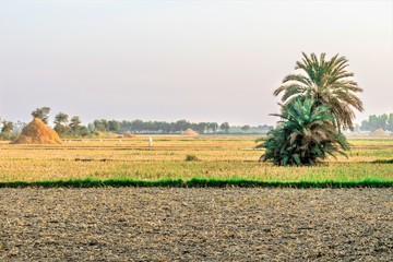 breathtaking view of nature looks so fresh and lots of greenery 